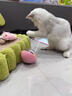 爵士狼貓咪不倒翁玩具幼貓自嗨解悶玩具羽毛鈴鐺逗貓神器小型貓咪用品 櫻花粉【帶薄荷球+鈴鐺球】 曬單實(shí)拍圖