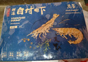 萬(wàn)景 北海鮮凍白蝦 國產(chǎn)白蝦 單凍無(wú)冰凈重4斤 100-120只 燒烤聚餐  曬單實(shí)拍圖