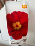 宜嬰弱酸紅山茶花3XL60片+2片拉拉褲小內(nèi)褲【品牌直供 安心品質(zhì)】 曬單實(shí)拍圖