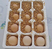 谷物鮮雞蛋 農戶(hù)散養新鮮雞蛋 單枚40g±5 10枚（40克/枚） 曬單實(shí)拍圖