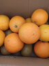 果陸園四川愛(ài)媛38號果凍橙 當季柑橘桔子新鮮當季水果柑橘桔子時(shí)令 整箱4-4.5斤 果徑70-80MM 凈3.5斤 曬單實(shí)拍圖