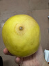甜多汁福建平和紅心蜜柚 脆甜多汁福建平和紅心蜜柚1粒裝（單果1~1.5斤） 曬單實(shí)拍圖