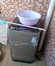 志高（CHIGO）全自動(dòng)洗衣機(jī) 家用小型波輪 洗脫一體機(jī)大容量 公寓宿舍出租房 10KG咖啡金【藍(lán)光洗護(hù)+風(fēng)干潔桶+強(qiáng)電機(jī)】 曬單實(shí)拍圖