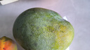 京鮮生 攀枝花凱特芒果 凈重8.5斤 帶箱9斤 單果400g+ 生鮮水果源頭直發(fā) 曬單實(shí)拍圖