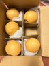 果益壽山東秋月梨【商超精品】當季新鮮脆甜冰糖梨子水果中秋送禮 5斤丨超值裝 單果250g+凈重4.5斤 曬單實(shí)拍圖