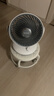 夏普（SHARP)日本小風鈴空氣循環(huán)扇電風扇家用小型風扇桌面臺式靜輕音99檔風速抑菌大風量一級能效 機械款【3檔風速/抗菌扇葉】 曬單實拍圖