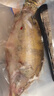 膳訊灣 臭鱖魚(yú)凈膛1.1-1.2斤*3條 安徽黃山桂魚(yú)生鮮腌制送料包 源頭直發(fā) 曬單實(shí)拍圖