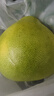 慶柚園江西井岡蜜柚子有機金沙柚新鮮孕婦水果脆甜爆汁金蘭白柚現摘現發(fā) 精品小果5枚口感佳（凈重約5斤） 曬單實(shí)拍圖