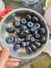 京鮮生 當季云南藍莓 12盒超大果22mm+ 125g/盒 生鮮水果 源頭直發(fā) 包郵 曬單實(shí)拍圖