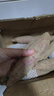 秦品堂陜西臨潼板栗紅薯 秦薯五號 新鮮黃白心地瓜沙土地蜜番薯板栗紅薯 精選9斤凈重 曬單實(shí)拍圖