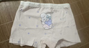 棉奇熊女童內褲兒童純棉短褲小女孩平角褲中大童底褲5條裝-P222-L 曬單實拍圖