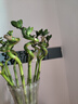 花翁水培植物水養綠植盆栽轉運竹50cm高8支（不含瓶）源頭直發(fā) 曬單實(shí)拍圖