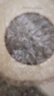 蘇泊爾SUPOR多功能切菜器六合一刨絲器切片器擦絲器 KGF32AC10 曬單實(shí)拍圖
