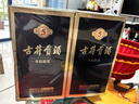 古井貢酒 年份原漿古5 濃香型白酒 50度 500ml*2瓶 雙瓶裝 曬單實拍圖