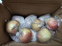 果陸園正宗冰糖心蘋(píng)果紅富士 脆甜時(shí)令丑蘋(píng)果 整箱平果節日送禮平安果 整箱5斤精選70-90MM凈4.5斤 曬單實(shí)拍圖