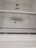 美的（Midea）195兩門(mén)二門(mén)雙開(kāi)門(mén)低噪租房小型家用電冰箱風(fēng)冷無(wú)霜小冰箱MR-195WE不串味以舊換新【國家補貼】 曬單實(shí)拍圖
