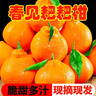 正宗四川春見(jiàn)耙耙柑新鮮應季孕婦水果丑八怪丑橘9斤大果整箱 帶箱9斤 特大果人氣香甜多汁 曬單實(shí)拍圖