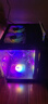 逆昂128G內(nèi)存酷睿i7升24核電競(jìng)臺(tái)式機(jī)電腦4060電競(jìng)主機(jī)吃雞獨(dú)顯辦公組裝大額補(bǔ)貼家用游戲水冷電腦整機(jī) 單主機(jī)【2025新款+五年質(zhì)?！?套六：i9級(jí)54芯16G獨(dú)顯/64G/1T光追特效 曬單實(shí)拍圖