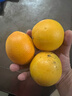 正宗福建仙游度尾文旦柚老樹(shù)紅心柚子當季新鮮水果產(chǎn)地本地人直銷(xiāo) 有孔老樹(shù)好果【5斤裝】3~4個(gè) 曬單實(shí)拍圖