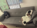 韶宜沙發(fā)客廳2025新款小戶(hù)型可折疊沙發(fā)床一體兩用簡(jiǎn)約貓抓皮布藝沙發(fā) 淺灰色 【免洗五防貓抓皮】 四人位【長(cháng)2.0*0.95米】+2抱枕 曬單實(shí)拍圖