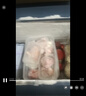 海爾（Haier）商用冰柜 超低溫-60℃/-70家用大容量深海魚(yú)海鮮凍品深冷細胞級冷凍柜  -70℃細胞級冷凍丨304不銹鋼丨銅管制冷 151升 曬單實(shí)拍圖