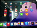 Apple/蘋果 iPad11英寸 A16芯片2025年款 平板電腦 (256GB WLAN版/學(xué)習(xí)辦公娛樂)銀色 曬單實拍圖