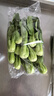 上海青約500g(油菜) 曬單實(shí)拍圖