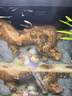 畫(huà)法幾何魚(yú)缸造景套餐仿真沉木造景米家智能魚(yú)缸專(zhuān)用 曬單實(shí)拍圖