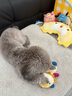 貴為（GiGwi）響紙獅子兩種發(fā)聲毛絨狗狗玩具耐咬解悶幼犬中小型犬寵物玩具 曬單實(shí)拍圖