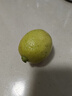 廣東香水黃檸檬新鮮檸檬奶茶店專(zhuān)用香水黃檸檬水果產(chǎn)地源頭直發(fā) （帶箱5斤）香水檸檬黃果單果70g起 曬單實(shí)拍圖