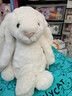 Jellycat【阿信同款】專(zhuān)柜代購害羞米色白色邦尼兔毛絨玩具安撫公仔跨年 乳白色邦尼兔 31cm 曬單實(shí)拍圖