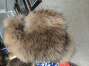 恒源祥狐貍毛帽子男女冬季雷鋒帽東北戶(hù)外防寒護耳仿皮帽保暖棉帽蒙古帽 旗艦草黃（加厚皮頂帽） 正常頭圍(54-60) 曬單實(shí)拍圖