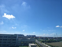 費樂(lè )（FEELO）兼容樂(lè )高大顆粒拼裝兒童玩具男女孩多功能積木桌300粒家居裝飾 曬單實(shí)拍圖