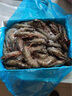 良滿(mǎn)鮮福建漳州活凍大號黑虎蝦 無(wú)冰凈重2斤 30-40只/盒 海鮮大蝦 低脂 曬單實(shí)拍圖