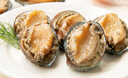 江船長(cháng) 冷凍鮑魚(yú) 凈重160g(18-22粒)袋裝 火鍋燒烤食材 海鮮生鮮 曬單實(shí)拍圖
