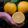 京鮮生【公益好物】川爺爺?shù)膼坻?8號果凍橙 凈重4.5-5斤 單果120g＋ 曬單實拍圖
