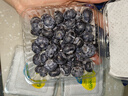 怡顆莓Driscoll's 秘魯進(jìn)口藍莓中果14mm+ 4盒 125g/盒 新鮮生鮮水果 曬單實(shí)拍圖