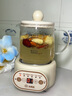 小南瓜養生壺多功能全自動(dòng)煮茶器迷你家用燒水壺電熱水壺恒溫壺茶壺家電茶壺燒水器煎藥壺煮水壺玻璃壺 頂配款【配濾網(wǎng)+杯墊+勺子】 0.5L 曬單實(shí)拍圖