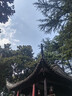 南極人7雙7A抗菌黑色襪子男士春夏季中筒襪棉襪商務(wù)長(cháng)筒長(cháng)襪夏天 曬單實(shí)拍圖