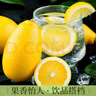 農滋滋廣東香水黃檸檬9斤/5斤/3斤新鮮生鮮水果檸檬奶茶店專(zhuān)用整箱批發(fā)9斤100-200g特大果[獨立彩袋] 曬單實(shí)拍圖