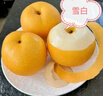 山姆伯伯萊陽(yáng)秋月梨禮盒【順豐閃送】新鮮脆甜梨子雪梨冰糖梨水果禮盒 8枚 臻選·大果6-8兩 | 超甜 【送禮有面-5重防護裝】高端禮盒 曬單實(shí)拍圖