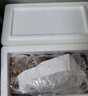 京鮮生 新疆法蘭西西梅 凈重3斤 單果15g+ 新鮮水果 源頭直發(fā)包郵 曬單實(shí)拍圖