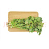 【有機】香菜50g 曬單實(shí)拍圖
