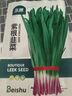 北蔬 紫根韭菜籽種子苗寬葉紅根蔬菜種籽 紫根韭菜種子10g約1800粒 曬單實(shí)拍圖