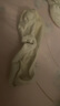 蕉下襪子男士短襪中筒襪棉質(zhì)防臭四季抗菌吸汗運動(dòng)緩震休閑襪 25新款 曬單實(shí)拍圖