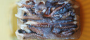 蟹君寶魷魚須鮮活冷凍二本足新鮮章魚生鮮尤魚鐵板魷魚串腿海鮮商用批發(fā) 【9A魷魚須】5斤（鮮魚切割） 曬單實拍圖