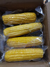 佳農 內蒙黃糯玉米棒8袋*220g 軟糯香甜 真空鎖鮮 源頭直發(fā) 禮盒包郵 曬單實(shí)拍圖