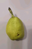 One's Member新疆庫爾勒香梨 特級單果120-140g 凈重5斤 生鮮水果 源頭直發(fā) 曬單實(shí)拍圖