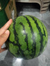 京鮮生 麒麟西瓜 1粒凈重5-6斤 水果 源頭直發(fā)包郵 曬單實(shí)拍圖