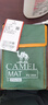駱駝（CAMEL）戶(hù)外地席帳篷露營(yíng)墊加厚防水耐磨野餐墊牛津布防潮 A0S3H8101軍綠 曬單實(shí)拍圖